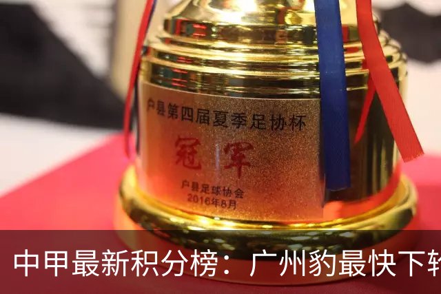 中甲最新积分榜：广州豹最快下轮冲超，第2到第4差1分，垫底两队同分