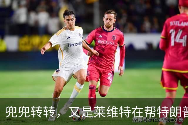 兜兜转转，又是莱维特在帮特朗普？