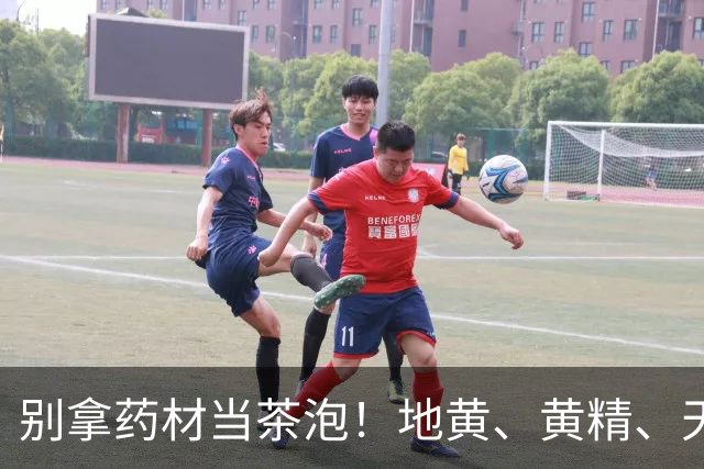 别拿药材当茶泡！地黄、黄精、天麻、砂仁都有禁忌，养生要讲科学