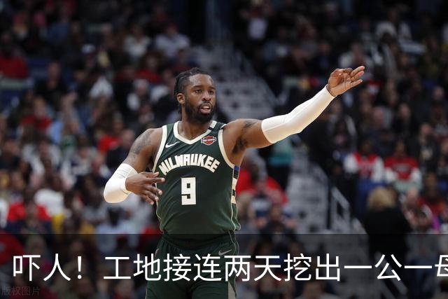 吓人！工地接连两天挖出一公一母两条巨蟒！“蛇身有人的小腿那么粗，目测有2米多长”，经确认均为缅甸蟒