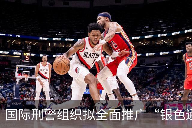 国际刑警组织拟全面推广“银色通缉令”，全球追查现金、加密货币、车辆、房地产及其他犯罪分子藏匿的非法财富