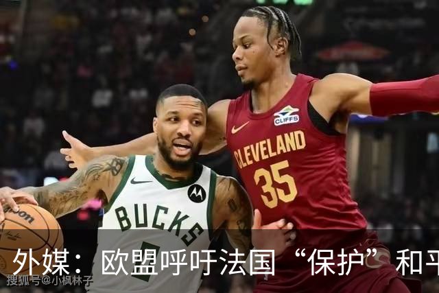 外媒：欧盟呼吁法国“保护”和平示威权利，并谴责暴力