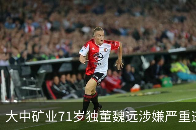 大中矿业71岁独董魏远涉嫌严重违纪违法，接受纪律审查和监察调查
