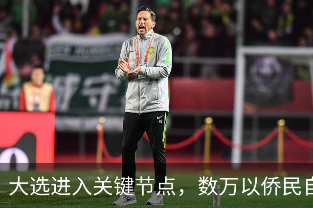 大选进入关键节点，数万以侨民自费回国，跨洋投票希望推翻现政府