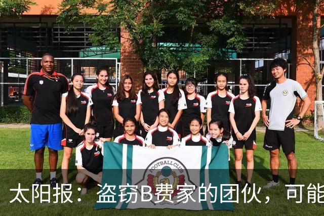 太阳报：盗窃B费家的团伙，可能是利用装修工晒出的照片踩点