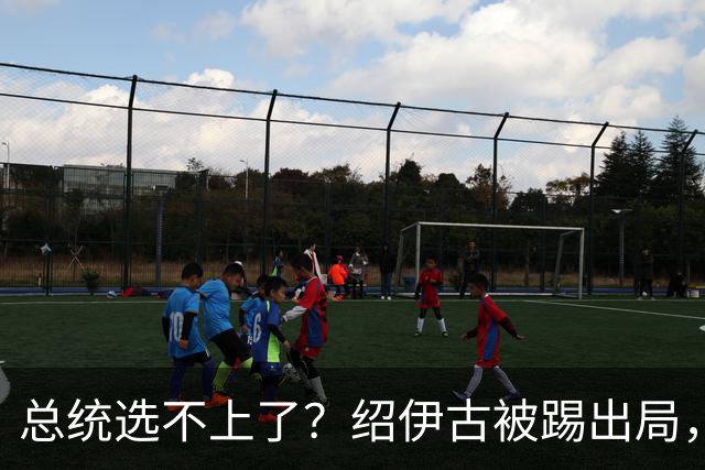 总统选不上了？绍伊古被踢出局，57对8结果已定，中方相信俄政府