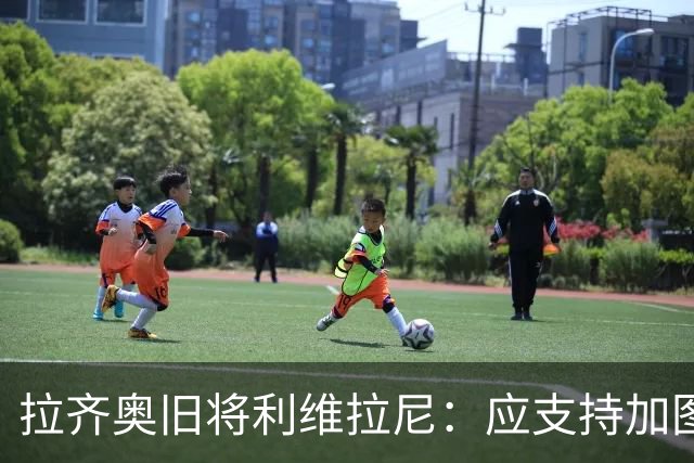 拉齐奥旧将利维拉尼：应支持加图索拒绝签伊卡尔迪