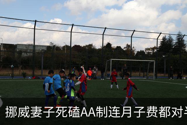挪威妻子死磕AA制连月子费都对半分，我怒了拎包连夜回国｜讲述人大刘（化名）四十五岁北京人曾外派北欧二婚