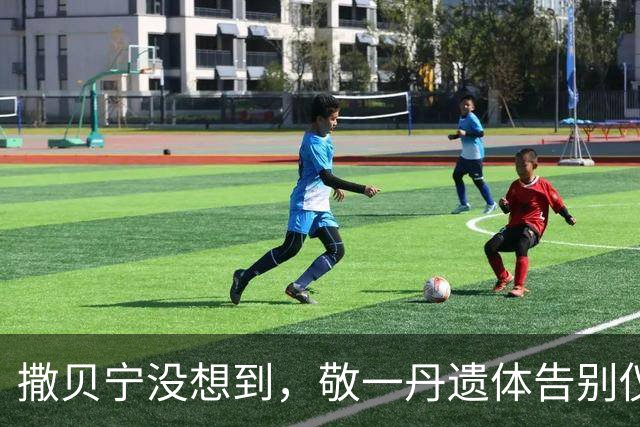 撒贝宁没想到，敬一丹遗体告别仪式上，尼格买提因一举动大赚口碑