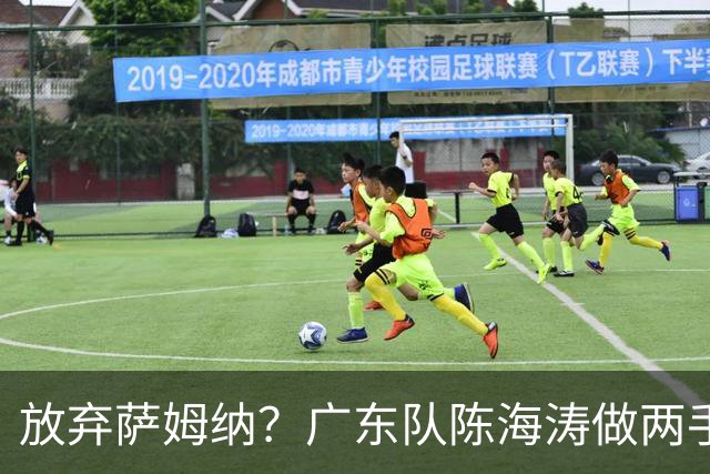 放弃萨姆纳？广东队陈海涛做两手准备，欲签辽宁大杀器，场均27分