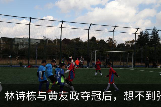 林诗栋与黄友政夺冠后，想不到张本智和赛后会这么说，被打回现实