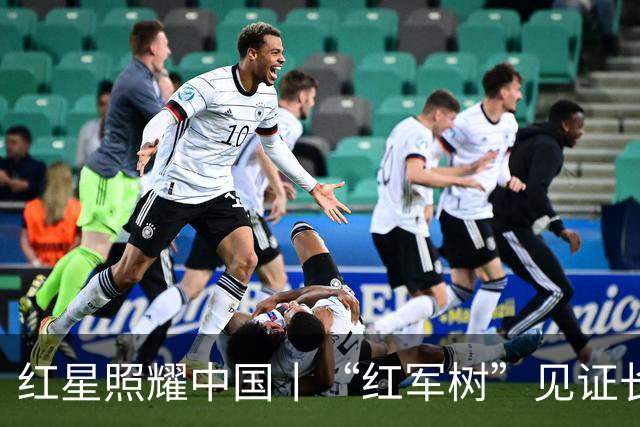 红星照耀中国丨“红军树”见证长征路