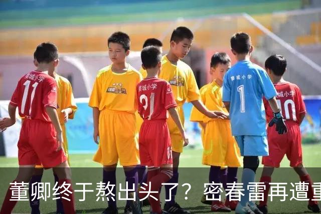 董卿终于熬出头了？密春雷再遭重大变故，52岁董卿也没料到这一步