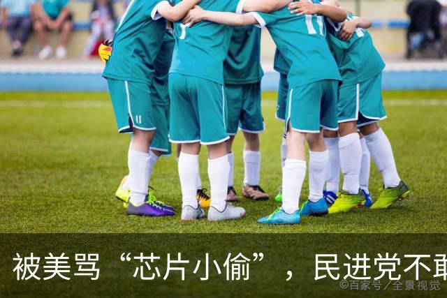 被美骂“芯片小偷”，民进党不敢还嘴