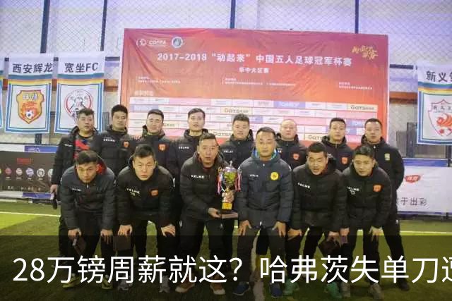 28万镑周薪就这？哈弗茨失单刀遭炮轰，阿森纳三球惨败布莱顿