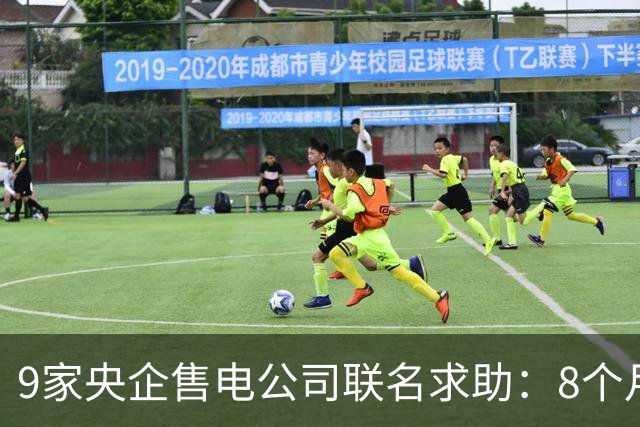 9家央企售电公司联名求助：8个月亏20亿，全年或亏50亿