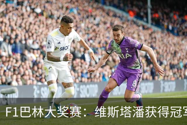 F1巴林大奖赛：维斯塔潘获得冠军