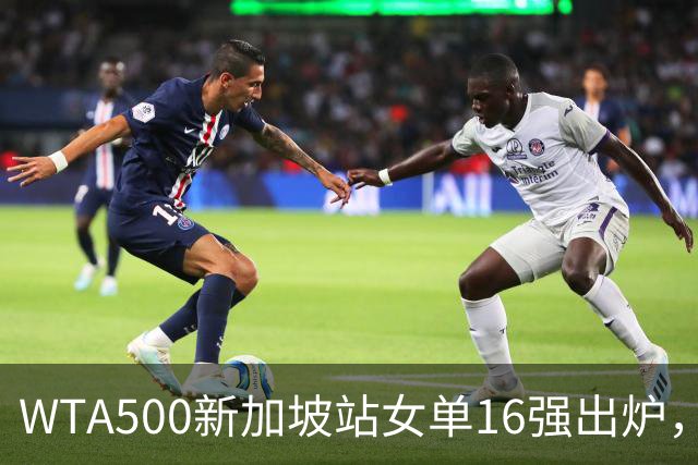WTA500新加坡站女单16强出炉，种子选手剩6人，王欣瑜6-1，6-2直落两盘2-0淘汰8号种子维基奇